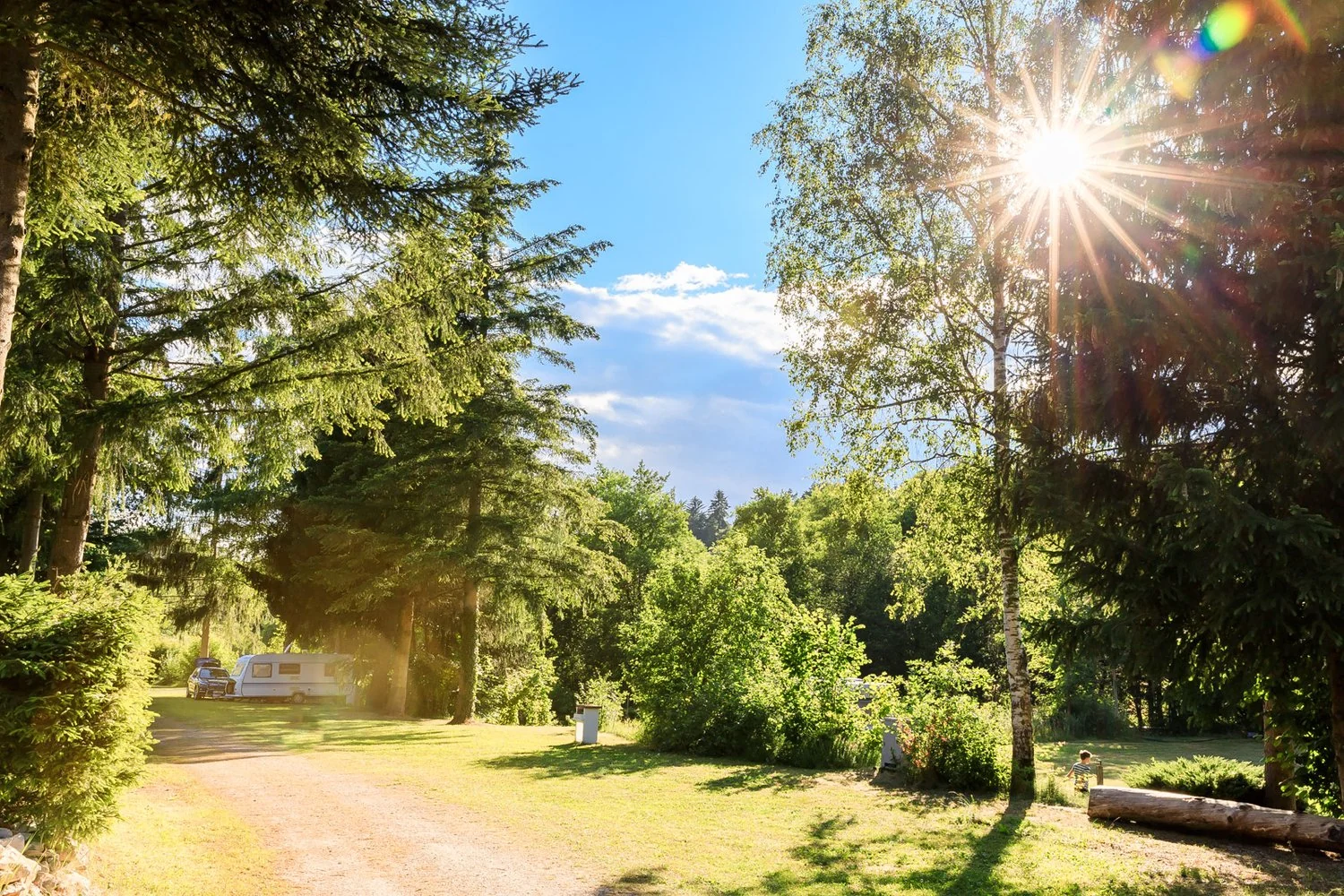 Sonnenstrahlen zwischen den Bäumen am Campingplatz.