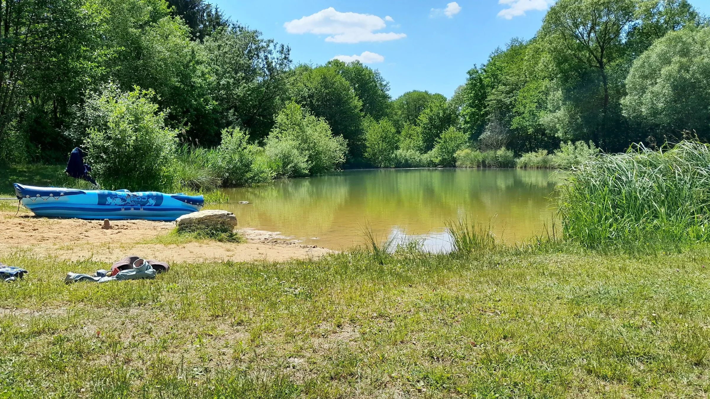 Ruhiger Uferplatz mit Wiese, Bäumen und Blick über den Weiher.